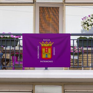 Bandera Baeza