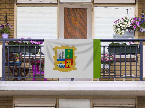 Bandera Marmolejo