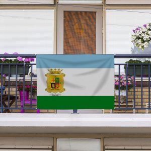 Bandera Montizón