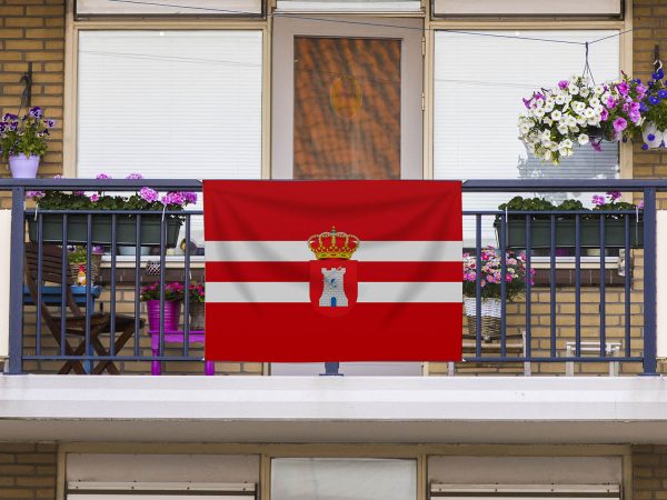 Bandera Torreblascopedro